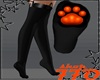 Kitty Orange Paw
