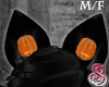Black Cat Pumpkin Ears