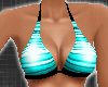*Stripe Aqua Bikini