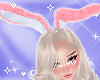 Ears  Bunny Pink