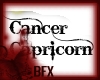 BFX Cancer/Capricorn
