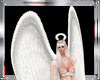 DC*ANGEL OUTFIT