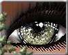 ~E- Cora Eyes II