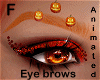 pumpkins brows ANI - F