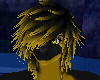 [Vet] Gold tribal hair