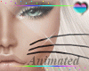 Animated Whiskers ~Dev