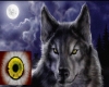 bk yellow wolfe eyes