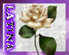 [ML]Beautiful Roses