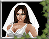 ~E- Novice Veil White