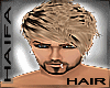 [H] HAIR MIX