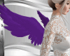 Wings lilac - Asas Angel