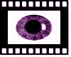 [M]Ocean purple Eye M/F