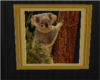 aussie koala