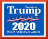 Trump Election Sticker