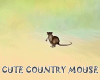 Lx Country Rat