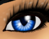 [ZK] Blue RAWR eyes [F]