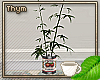 Bamboo Plant Can 1