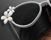 Rogue Shades