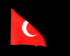 TURKIYE (Animated) V1