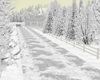 Winter on the ranch