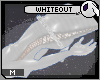 ~DC) wHiTeOuT : OuTFiT