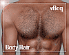 [VB] Perfect Hairy Torso