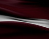 Latvia Flag Neck Bow M/F