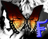 AnyEye Butterfly Wings F
