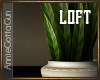 Loft Plant