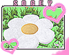 ! Flower Pillow