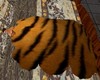 Blanket Tiger