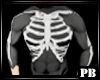 (PB)Skeleton Muscle Top