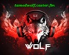 dj wolf