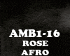 AFRO - ROSE