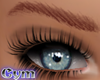 Cym Standard Eyebrows R