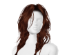 -QT- Prudencia  DK Roast