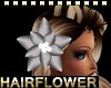 Lotus hair Flower