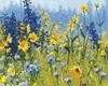Wild Bonnets Flowers