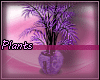 (A) purple flower