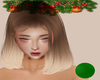 !B Chrissy Ombre