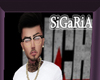 SiGaRiAPicture