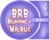 BRBhumpingAwalrus [HS]