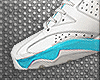 Jordan Premiums M