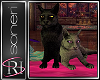 W Couple Cats