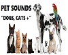 Pet sounds *M/F