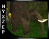 Rainforest Elephant Big