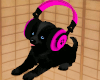 DJ Pet Pink