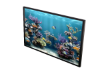 Animated aquarium