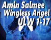 AminSalmee-WinglessAngel