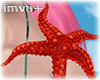 starfish 2 shoulder